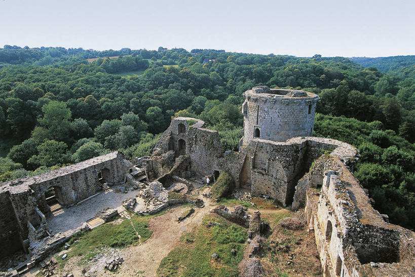 无人,横图,俯视,室外,白天,森林,建筑,法国,城堡,地平线,辽阔,地面,历史,废墟,广阔,摄影,一望无际,布列塔尼,延伸,中欧,天地相交,无边无际,一马平川,彩图,高角度拍摄,旅行