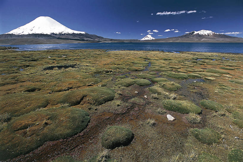 无人,横图,室外,白天,湖,火山,美景,山脉,雪山,智利,地形,景观,山顶,风景,自然,景色,南美,摄影,宁静,国家公园,自然风光,安地斯山脉,朗卡国家公园,自然地理,活火山,彩图,旅行,普特雷,郊野公园