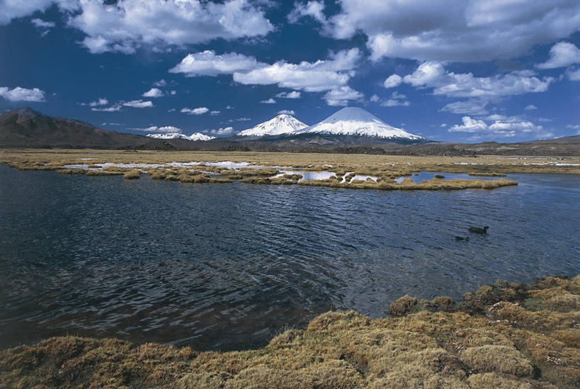 无人,横图,室外,白天,湖,火山,美景,山脉,雪山,智利,地形,景观,山顶,云,联合国,风景,天空,自然,景色,南美,摄影,宁静,国家公园,自然风光,安地斯山脉,朗卡国家公园,自然地理,彩图,旅行,联合国教科文组织,普特雷,郊野公园