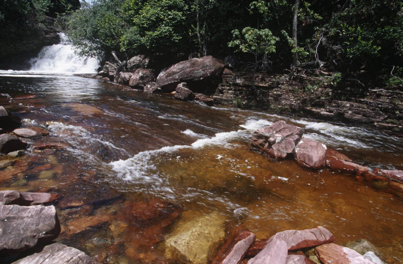 无人,横图,室外,白天,河流,美景,森林,水,委内瑞拉,景观,流水,风景,自然,地标建筑,平原,景色,南美,摄影,国家公园,自然风光,岩石,彩图,卡奈依马国家公园,郊野公园