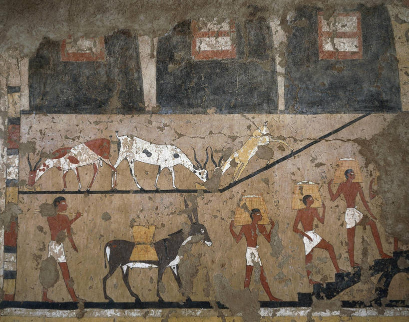 成年人,四个人,农民,横图,农业,四只,羚羊,谷类,古代,职业,家畜,运输,摄影,收获,运送,驴子,古代文明,美术工艺,彩图