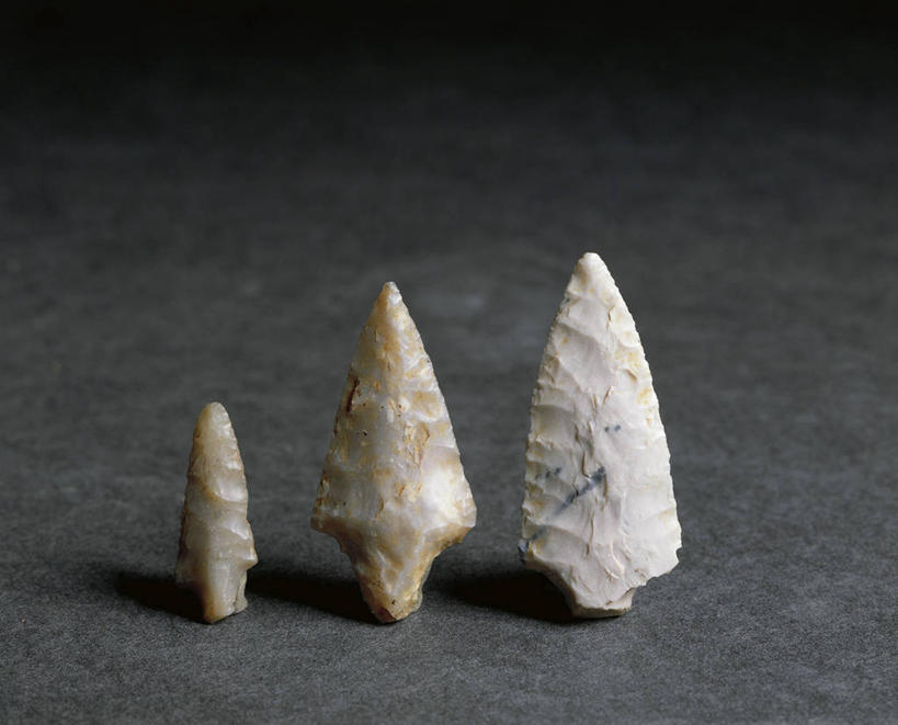 无人,横图,意大利,欧洲,一排,整齐,历史,排列,三个,箭,摄影,队列,南欧,意大利共和国,摩德纳,古代文明,艾米利亚.罗马涅,艾米利亚.罗马涅大区,史前时代,彩图,影棚拍摄