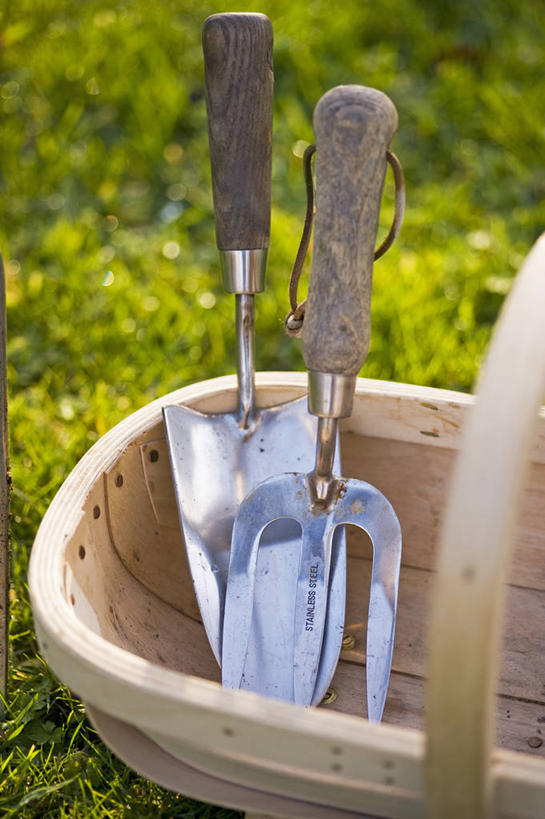 无人,竖图,室外,特写,白天,仰视,草坪,美景,静物,金属制品,英国,金属,木制,工具,景观,园艺,设备,英格兰,物品,草,三个,自然,景色,摄影,泥刀,耙子,自然风光,农具,耕具,彩图,低角度拍摄