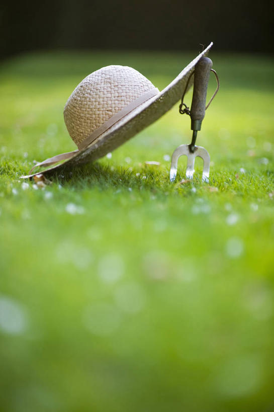 无人,竖图,室外,特写,白天,草坪,美景,植物,静物,帽子,英国,不锈钢,景观,园艺,稻草,设备,物品,草,衣服,绿色,自然,遮阳帽,夏天,景色,摄影,泥刀,自然风光,彩图