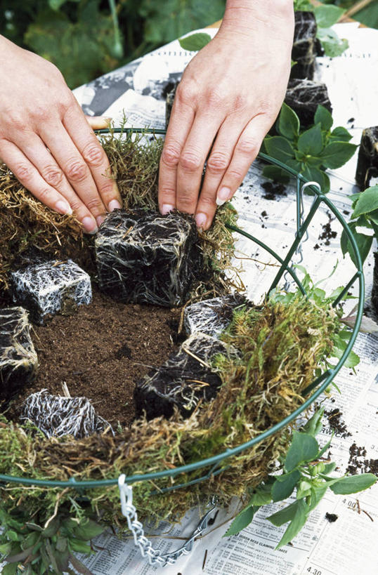 成年人,中年人,手,一个人,交叉,竖图,室外,特写,白天,美景,植物,竹子,金属制品,仅一个女性,仅一个人,握,种植,准备,竹制,编织,金属,篮子,景观,园艺,苔藓,拿,拎,拿着,床上用品,自然,容器,竹篮,做,仅一个中年女性,景色,握着,人体,摄影,储藏,竹条,部分,交织,竹制品,储存,自然风光,穿插,女人,女性,中年女性,休闲活动,彩图,贮存,拎着,对焦