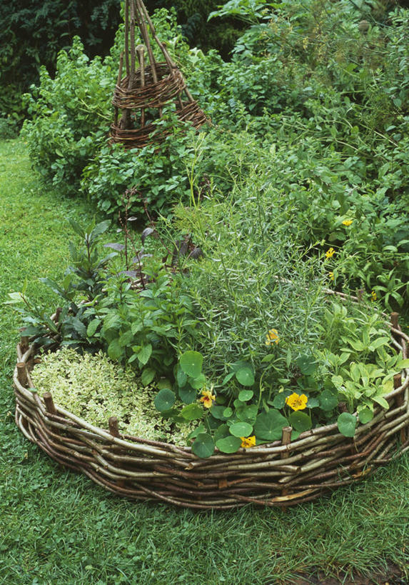 无人,竖图,室外,白天,美景,植物,圆形,庭院,景观,薄荷,食品,草药,饮品,饮食,食物,饮料,自然,茴香,景色,摄影,牛至,草本,可口,自然风光,旱金莲花,适口,彩图,对焦