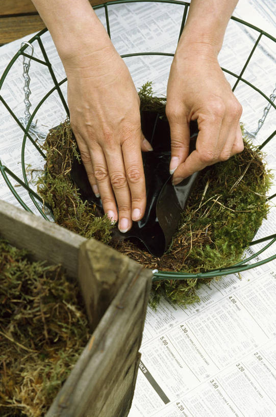 成年人,中年人,手,一个人,交叉,竖图,室外,特写,白天,美景,植物,竹子,金属制品,仅一个女性,仅一个人,握,种植,准备,竹制,编织,金属,篮子,景观,园艺,苔藓,拿,拎,拿着,设备,物品,自然,容器,竹篮,做,仅一个中年女性,景色,握着,人体,摄影,储藏,竹条,部分,交织,竹制品,储存,自然风光,穿插,女人,女性,中年女性,休闲活动,彩图,贮存,拎着,对焦