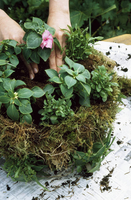 成年人,手,一个人,交叉,竖图,室外,特写,白天,美景,竹子,金属制品,仅一个女性,握,种植,准备,竹制,朦胧,模糊,编织,金属,篮子,景观,园艺,苔藓,拿,拎,拿着,床上用品,自然,容器,竹篮,做,景色,握着,人体,摄影,储藏,竹条,部分,交织,竹制品,储存,自然风光,穿插,女人,休闲活动,彩图,贮存,拎着