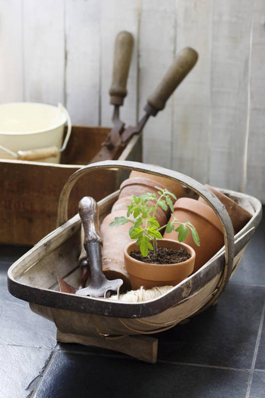 无人,竖图,室外,白天,美景,植物,静物,花盆,景观,园艺,自然,线绳,景色,摄影,清新,自然风光,彩图