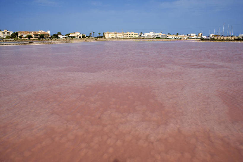 无人,家,横图,室外,白天,正面,旅游,度假,美景,植物,西班牙,欧洲,阴影,光线,影子,房屋,屋子,景观,云,云朵,公寓,云彩,娱乐,洋房,楼房,住宅,树,树木,蓝色,绿色,白云,蓝天,天空,阳光,自然,天,享受,休闲,景色,放松,生长,晴朗,成长,南欧,自然风光,西班牙王国,巴利阿里群岛,巴利阿里,福门特拉岛,晴空,彩图,房子