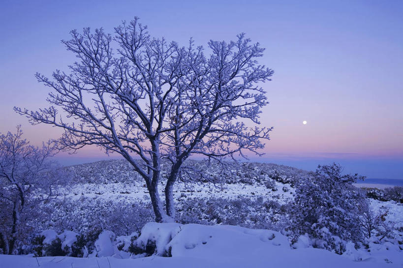 无人,横图,室外,白天,正面,旅游,度假,美景,日落,山,雪,雪山,植物,大雪,法国,欧洲,冰,积雪,景观,山峰,晚霞,霞光,雪景,冬季,冬天,落日,山峦,娱乐,树,树木,绿色,自然,黄昏,享受,休闲,景色,彩霞,放松,寒冷,生长,成长,冰冷,西欧,沃克吕兹省,法兰西,自然风光,法兰西共和国,法兰西第五共和国,严寒,冰凉,酷寒,凛冽,凛凛,极冷,夕照,薄暮,普罗旺斯.阿尔卑斯.蓝色海岸,普罗旺斯.阿尔卑斯.蓝色海岸大区,夕阳,彩图,傍晚,吕贝隆山区,斜阳