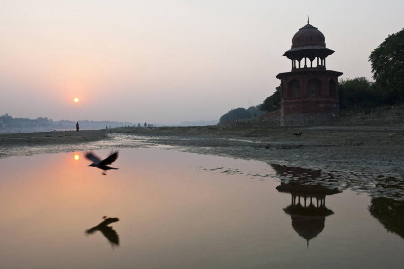 无人,横图,室外,白天,正面,旅游,度假,河流,美景,日落,水,植物,鸟,印度,亚洲,飞翔,伸展,张开,展翅,波纹,飞行,翅膀,鸟类,河水,景观,水流,晚霞,霞光,落日,涟漪,背光,翱翔,娱乐,飞,树,树木,一只,绿色,倒影,水纹,自然,黄昏,波浪,享受,休闲,景色,彩霞,放松,生长,成长,倒映,自然风光,南亚,逆光,张开翅膀,阿格拉,印度共和国,水晕,北方邦,亚穆纳河,夕照,反照,薄暮,展开翅膀,夕阳,彩图,全身,傍晚,斜阳