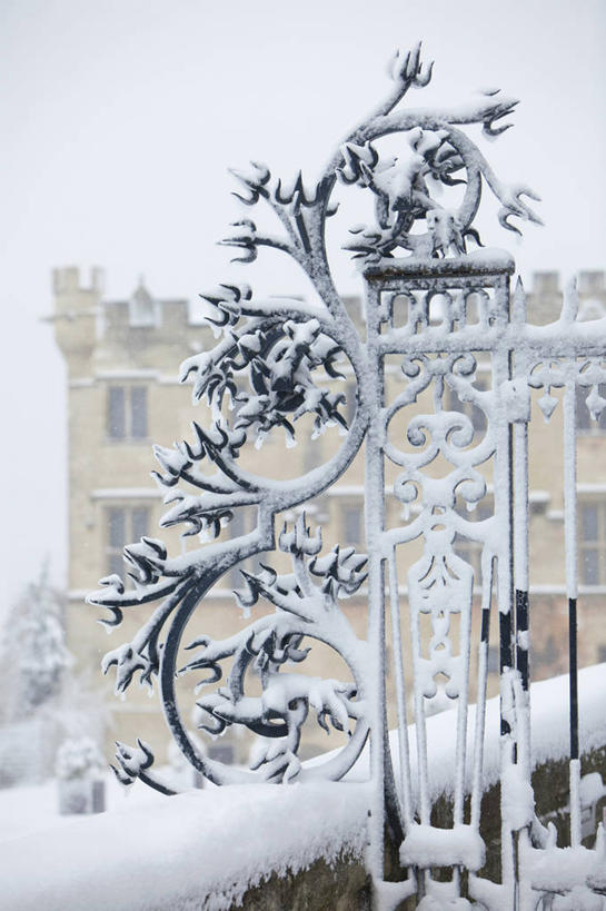 无人,家,栏杆,竖图,室外,特写,白天,正面,雪,大雪,法国,欧洲,阴影,朦胧,模糊,光线,影子,房屋,墙,屋子,积雪,雪景,冬季,冬天,围栏,护栏,楼房,墙壁,墙面,住宅,灰色,天空,阳光,天,寒冷,西欧,沃克吕兹省,法兰西,阿维尼翁,法兰西共和国,法兰西第五共和国,严寒,普罗旺斯.阿尔卑斯.蓝色海岸,普罗旺斯.阿尔卑斯.蓝色海岸大区,彩图,房子