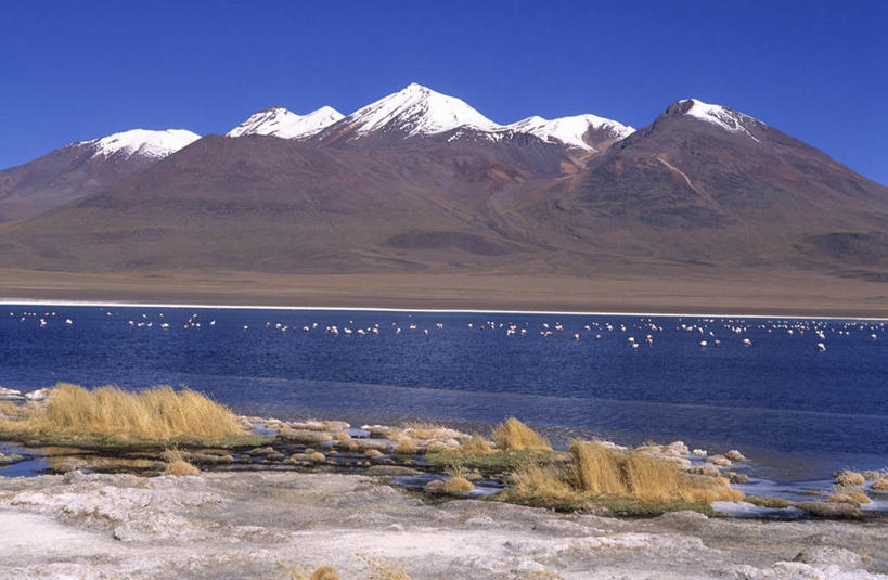 站,横图,室外,白天,正面,旅游,度假,湖,湖泊,美景,山,水,雪,雪山,植物,大雪,鸟,玻利维亚,许多,阴影,枯萎,光线,红鹤,火烈鸟,鸟类,影子,冰,湖面,积雪,景观,山峰,水流,水面,雪景,冬季,冬天,枯草,山峦,很多,注视,娱乐,草,排列,黄色,蓝色,蓝天,天空,阳光,自然,湖水,天,观察,看,站着,享受,休闲,景色,南美,放松,寒冷,晴朗,观看,察看,冰冷,南美洲,拉丁美洲,关注,自然风光,美洲,万里无云,亚美利加洲,严寒,南亚美利加洲,冰凉,酷寒,凛冽,凛凛,极冷,摆列,玻利维亚多民族国,波托西,波托西省,乌尤尼盐湖,晴空,晴空万里,站立,彩图,全身,乌尤尼盐沼,乌尤尼,布列,分列