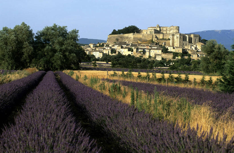 无人,家,横图,室外,白天,正面,爱情,旅游,度假,草地,草坪,花海,花圃,美景,山,山脉,植物,叶子,法国,欧洲,许多,阴影,盛开,光线,瓦片,影子,房屋,墙,屋檐,屋子,景观,山峰,山峦,很多,浪漫,花蕾,娱乐,楼房,檐,墙壁,墙面,住宅,草,花,花瓣,花朵,花卉,鲜花,树,树木,蓝色,绿色,紫色,灰色,蓝天,天空,阳光,自然,香草,花丛,花束,花田,群山,天,花苞,花蕊,薰衣草,享受,休闲,景色,放松,生长,晴朗,成长,西欧,法兰西,自然风光,呼吸,万里无云,法兰西共和国,灵香草,黄香草,法兰西第五共和国,奇迹,晴空,晴空万里,彩图,房子,德龙省,格里尼昂,罗讷.阿尔卑斯,罗讷.阿尔卑斯大区