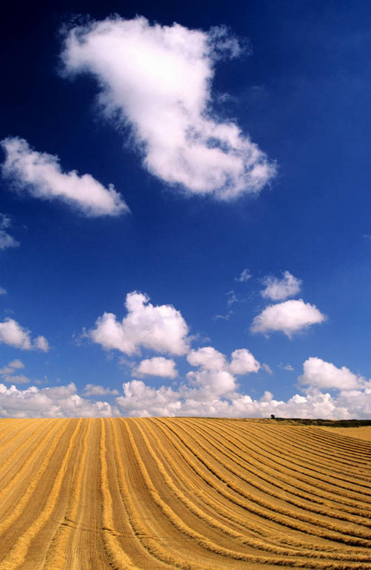 无人,农田,竖图,室外,白天,正面,旅游,度假,农业,庄稼,农作物,美景,法国,欧洲,阴影,光线,影子,稻田,地平线,景观,云,云朵,辽阔,地面,云彩,娱乐,黄色,蓝色,白云,蓝天,天空,阳光,自然,天,享受,休闲,广阔,景色,放松,晴朗,一望无际,西欧,法兰西,自然风光,延伸,法兰西共和国,天地相交,法兰西第五共和国,无边无际,一马平川,加来海峡省,晴空,彩图,耕地,庄稼田