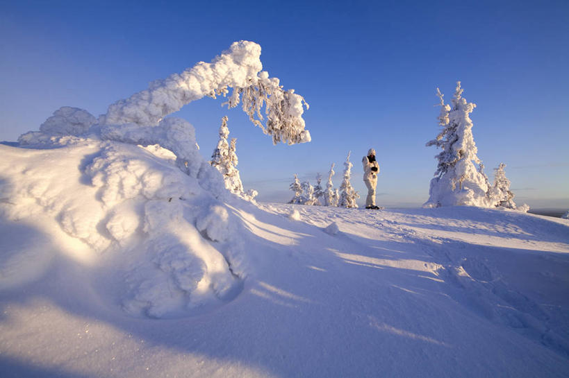 无人,横图,室外,白天,正面,旅游,度假,美景,雪,植物,大雪,松树,欧洲,芬兰,阴影,光线,影子,积雪,景观,雪景,冬季,冬天,娱乐,树,树木,蓝色,绿色,蓝天,天空,阳光,自然,天,享受,休闲,景色,放松,寒冷,生长,晴朗,成长,自然风光,杉树,北欧,坚定,万里无云,长寿,严寒,贞洁,拉普兰,拉普兰德,芬兰共和国,拉普兰省,晴空,晴空万里,彩图,拉普兰区