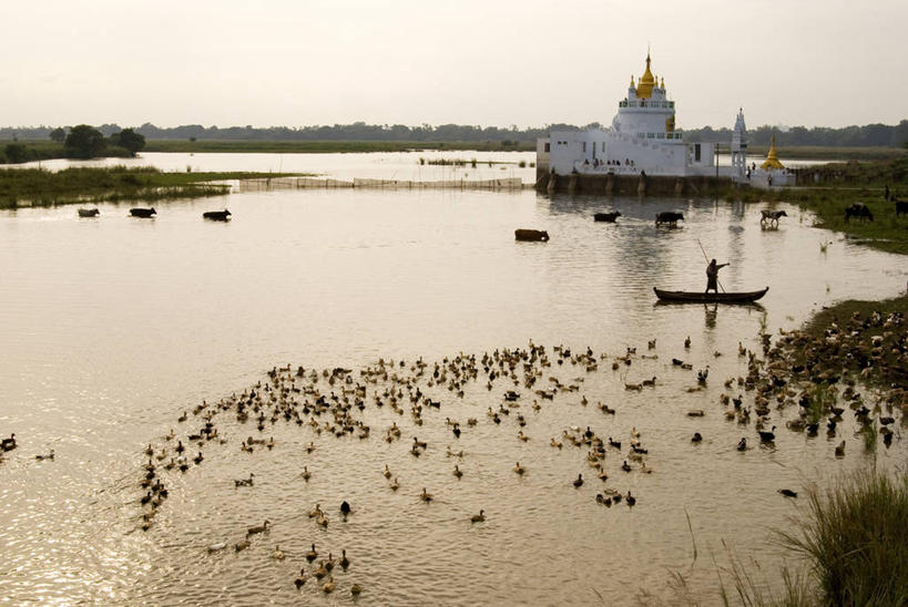 游泳,无人,宫殿,横图,室外,白天,正面,旅游,度假,草地,草坪,湖,湖泊,名胜古迹,日落,树林,水,植物,标志建筑,地标,建筑,鸟,缅甸,亚洲,许多,波纹,遗迹,鸟类,鸭,湖面,水流,水面,晚霞,霞光,落日,涟漪,很多,古迹,文物,娱乐,建设,古建筑,家禽,草,树,树木,绿色,水纹,天空,自然,黄昏,动物,波浪,湖水,天,享受,休闲,旅游胜地,彩霞,放松,东南亚,牲畜,生长,成长,宫廷,古文明,缅甸联邦,水晕,泅水,王宫,夕照,薄暮,拍浮,曼德勒省,阿马拉布拉古城,夕阳,彩图,傍晚,皇宫,斜阳