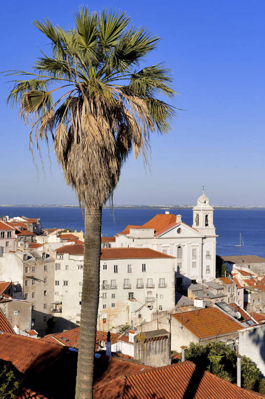 无人,家,教堂,竖图,室外,白天,正面,旅游,度假,海浪,海洋,美景,植物,城市风光,标志建筑,城市,地标,建筑,棕榈树,叶子,葡萄牙,欧洲,阴影,节日,光线,影子,房屋,屋子,景观,浪花,水平线,公寓,建筑群,辽阔,绿叶,海平线,首都,文化,娱乐,建设,洋房,楼房,里斯本,住宅,树,树木,蓝色,绿色,蓝天,天空,阳光,自然,海水,天,祈祷,享受,休闲,广阔,健康,嫩叶,景色,放松,许愿,宗教,信仰,生长,晴朗,成长,纪念,一望无际,祈求,南欧,海景,信念,棕榈叶,万里无云,葡萄牙共和国,无边无际,一马平川,阿尔法玛,平安,叶,叶片,大海,风浪,海,海水的波动,近岸浪,涌浪,晴空,晴空万里,棕树,棕榈,彩图,房子,大教堂,礼拜堂,水天相接,水天一线