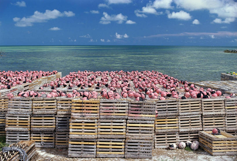 无人,交叉,横图,室外,白天,正面,旅游,度假,海浪,海洋,美景,沙滩,竹子,一排,许多,阴影,竹制,整齐,并列,并排,编织,光线,篮子,沙子,影子,海岸,景观,浪花,水平线,云,云朵,辽阔,海平线,沙地,很多,云彩,娱乐,排列,蓝色,白云,蓝天,天空,阳光,自然,海水,竹篮,天,享受,休闲,广阔,景色,放松,晴朗,竹条,一望无际,交织,竹制品,队列,自然风光,平行,海景,穿插,无边无际,一马平川,大海,风浪,海,海水的波动,海滩,近岸浪,涌浪,晴空,彩图,水天相接,水天一线