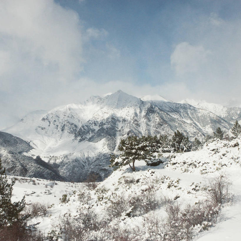 无人,方图,室外,白天,雪,西班牙,地形,山顶,冬天,树,风景,寒冷,摄影,灌木,加泰隆尼亚,彩图