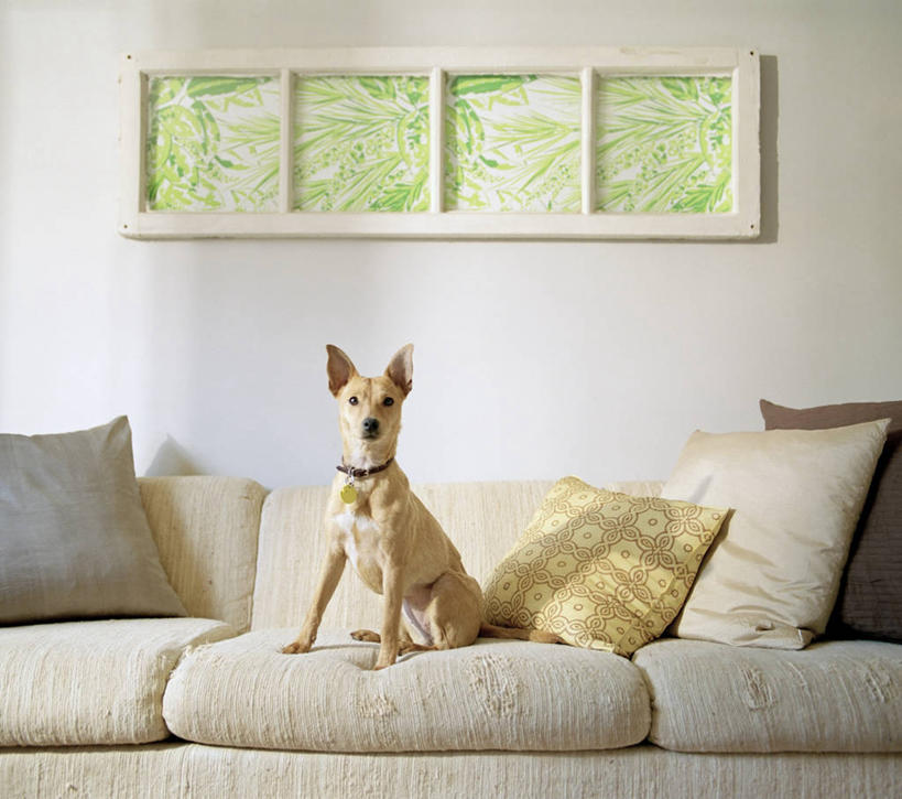 无人,坐,横图,室内,白天,绘画,沙发,狗,纽约,艺术,古典,文化,工艺品,品味,休息,放松,摄影,美术,起居室,高雅,肖像,美学,无线电技术,布鲁克林,休闲活动,彩图,宠物项圈