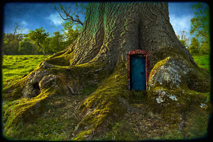 无人,横图,室外,白天,童话故事,爱尔兰,云,门口,首都,树,天空,自然,幻想,摄影,巨大,庞大,宁静,私密,肌理,宏大,硕大,伟大,彩图