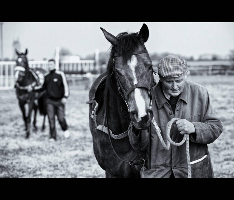 西方人,成年人,老年人,一个人,横图,黑白,室外,正面,运动,马,爱尔兰,欧洲,欧洲人,仅一个男性,仅一个人,准备,拿着,外套,草,天空,动物,仅一个老年男性,两只,摄影,游行,带领,赛马,老年男性,男人,男性,白种人,步行,半身,软帽,高维郡