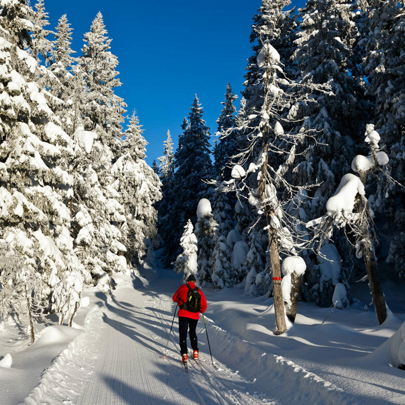 成年人,一个人,方图,室外,雪,挪威,仅一个男性,阴影,冬天,树,背面,天空,自然,寒冷,摄影,滑雪杖,享乐,背包客,滑雪运动,冒险,彩图