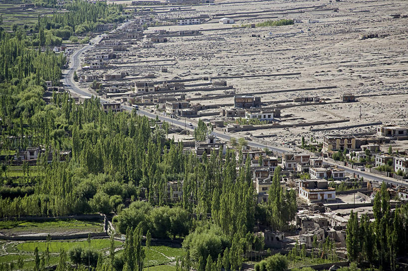 无人,横图,室外,白天,建筑,印度,树,风景,自然,摄影,宗教,树梢,印度河,列城,彩图