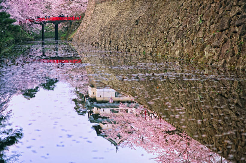 白天,美景,水,建筑,日本,亚洲,日本文化,反射,景观,桥,联系,风景,自然