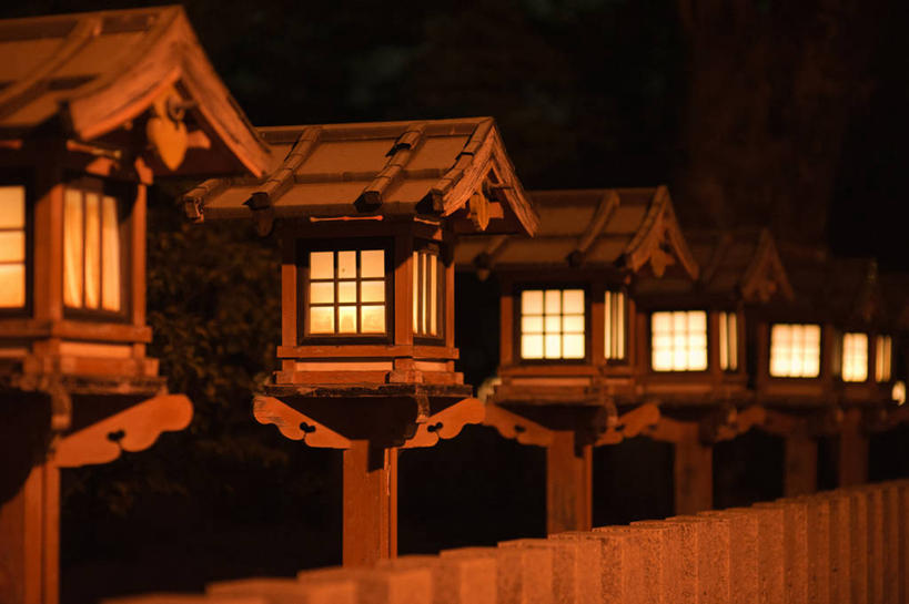 无人,横图,室外,夜晚,树林,日本,一排,日本文化,整齐,灯笼,排列,天空,摄影,宗教,照亮,神殿,队列,彩图