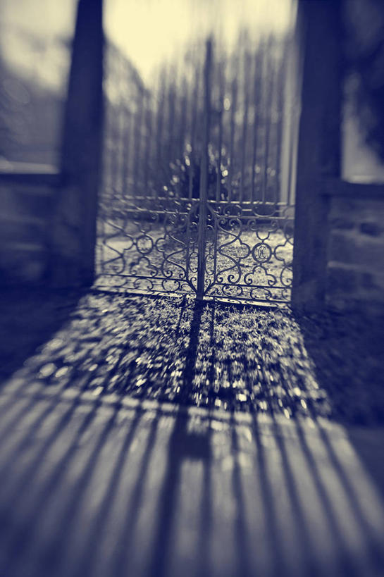 无人,竖图,黑白,室外,白天,德国,关闭,阴影,大门,摄影,保护,宁静,封闭