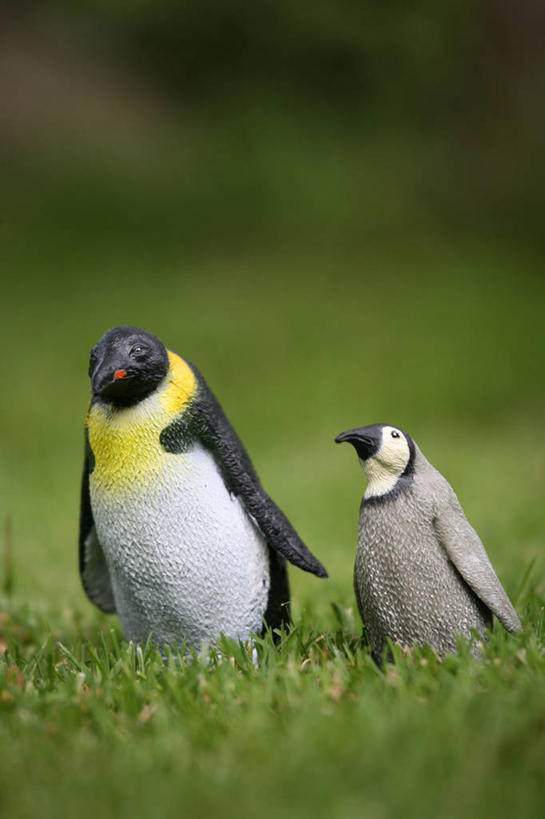 无人,竖图,室外,白天,企鹅,玩具,英国,草,自然,摄影,想法,彩图