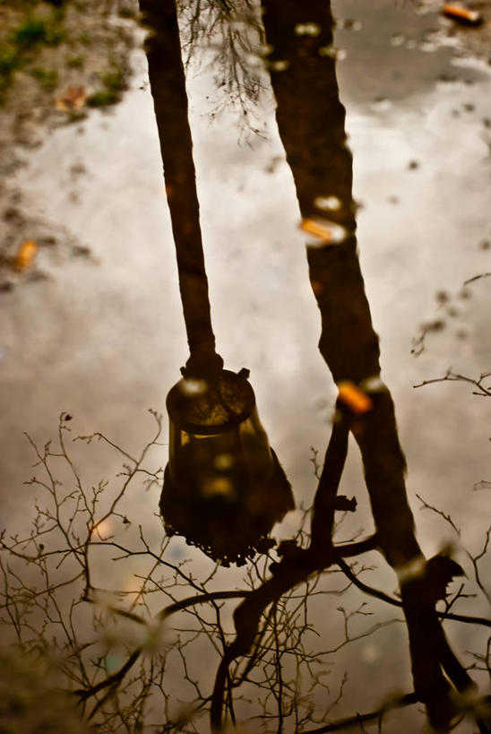 无人,竖图,室外,白天,路灯,法国,巴黎,反射,枝,首都,自然,摄影,宁静,运河,彩图