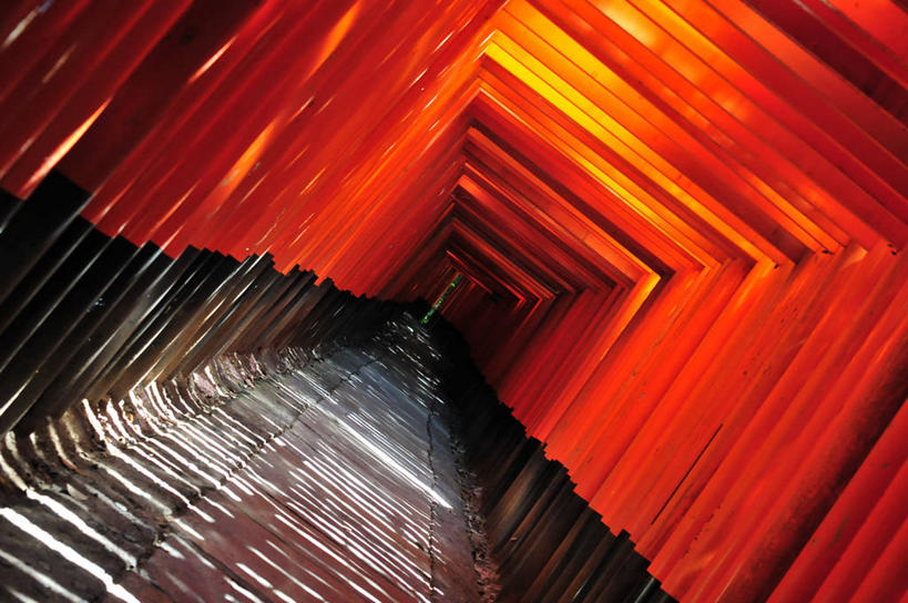 无人,横图,室内,白天,重复,建筑,京都,日本,亚洲,一排,阴影,日本文化,整齐,大门,排列,橙色,摄影,宗教,京都府,神殿,队列,东亚,本州,本州岛,日本国,近畿地方,近畿,京都市,伏见稻荷大社,伏见区,彩图