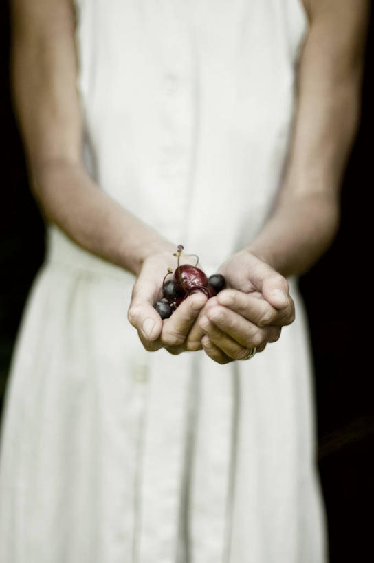 成年人,一个人,竖图,特写,正面,蓝莓,樱桃,水果,英国,仅一个女性,黑色背景,拿着,休闲装,饮食,摄影,部分,清新,健康食物,黑刺莓,彩图,影棚拍摄