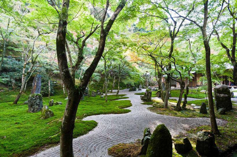 无人,横图,室外,白天,日本,日本文化,草,树,树干,天空,自然,摄影,宁静,福冈,岩石,彩图