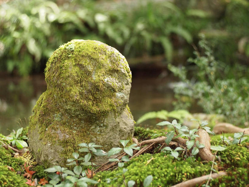 无人,横图,室外,特写,白天,植物,叶子,日本,雕像,苔藓,自然,摄影,京都府,生长,京都市,彩图