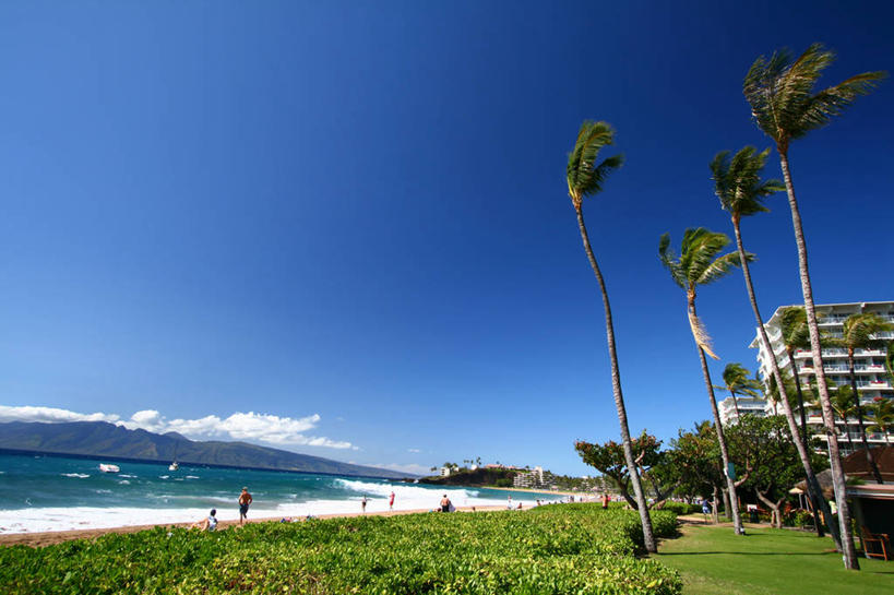 横图,室外,白天,度假,海洋,山,风,棕榈树,美国,天空,自然,摄影,万里无云,太平洋岛屿,海滩,彩图,毛伊岛