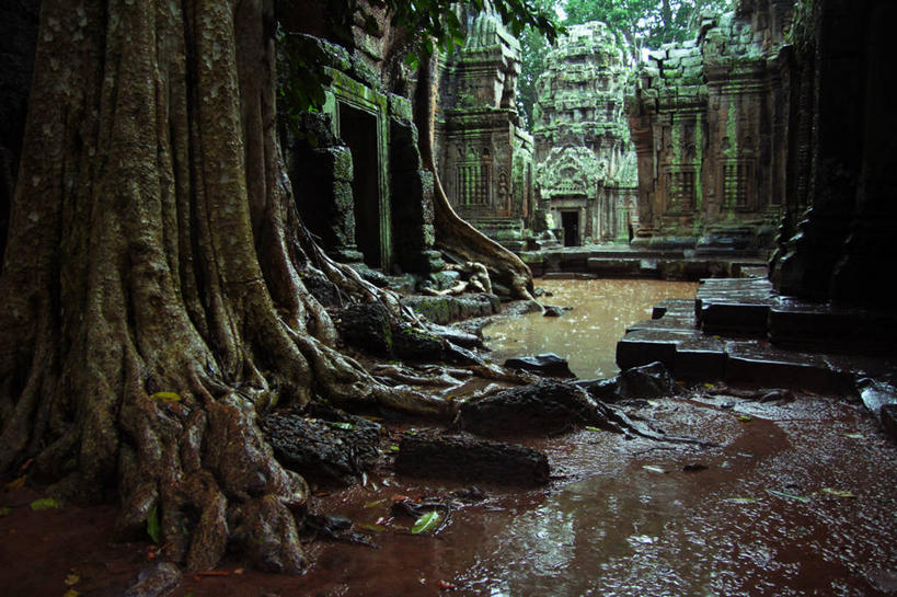 无人,横图,室外,白天,水,建筑,柬埔寨,历史,废墟,树,树干,摄影,宗教,吴哥寺,暹粒,彩图,传统文化,柬埔寨文化