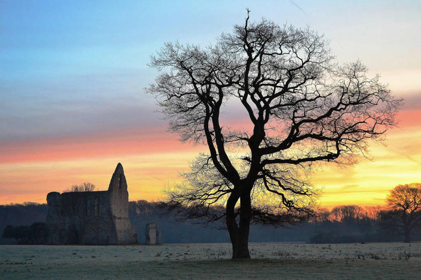无人,横图,室外,日出,建筑,日光,英国,地形,云,天空,自然,摄影,剪影,萨里市,彩图,独处