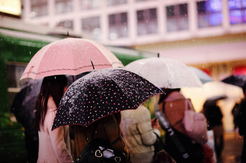 横图,室外,白天,雨,街道,东京,日本,伞,首都,拿着,休闲装,摄影,保护,步行,彩图