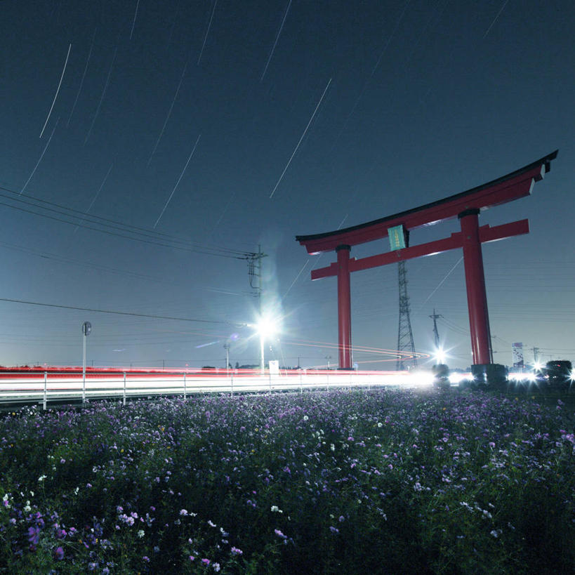 无人,方图,室外,夜晚,镜头眩光,长时间曝光,路灯,日本,鸟居,花,天空,自然,运输,摄影,大波斯菊,车灯,照亮,群马县,彩图