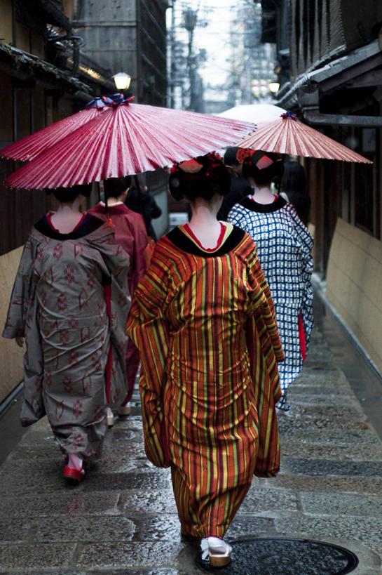 成年人,竖图,室外,白天,雨,日本,五个人,条纹,和服,日本文化,天气,拿着,阳伞,背面,红色,摄影,京都府,保护,京都市,式样,步行,彩图,传统服装,传统文化,巷,舞妓