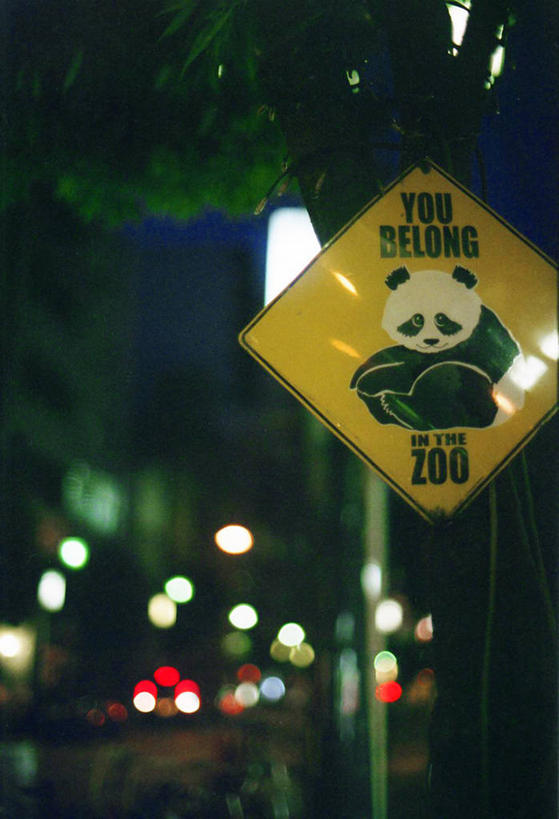 无人,动物园,竖图,室外,夜晚,街道,野生动物,熊猫,日本,标志,文字,黄色,摄影,英文字母,交通标志,东亚