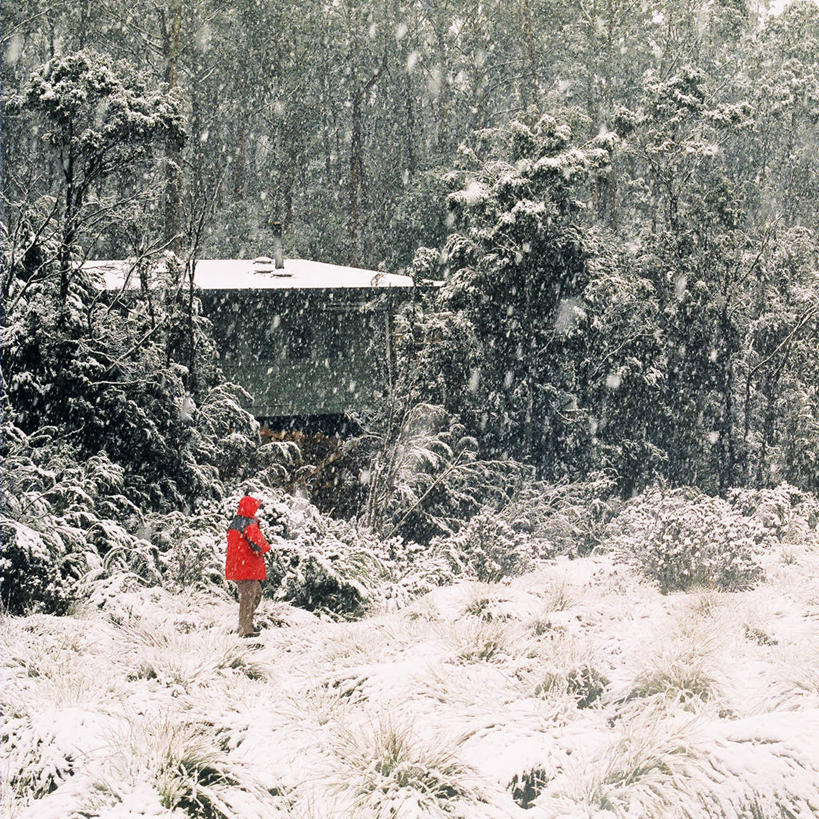 一个人,站,方图,室外,白天,美景,雪,帽子,澳大利亚,覆盖,朦胧,模糊,景观,冬天,下雪,天气,树,衣服,自然,景色,寒冷,摄影,自然风光,澳大拉西亚,编织帽,独处