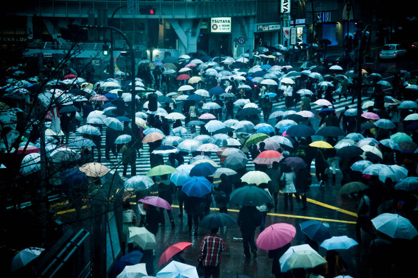 人群,横图,俯视,室外,白天,安全,东京,日本,朦胧,模糊,标志,伞,红绿灯,信号灯,交通,天气,关东地区,首都,许多人,拿着,休闲装,衣服,一群人,警示,摄影,多样,保护,提示,群众,流通,东亚,交通信号灯,行人信号灯,步行,高角度拍摄,横越