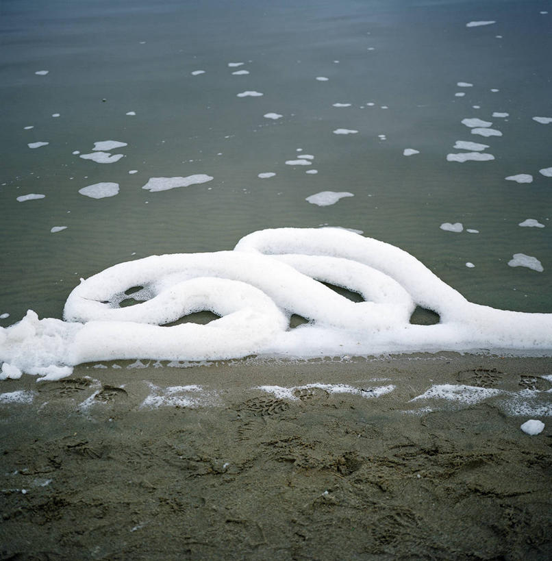 无人,公园,竖图,俯视,室外,特写,白天,海浪,海洋,美景,水,美国,沙子,景观,自然,景色,摄影,环境,污染,北美,北美洲,国家公园,加利福尼亚,自然风光,美洲,加州,加利福尼亚州,金州,黄金州,北亚美利加洲,亚美利加洲,潟湖,马林县,海滩,高角度拍摄,旅行,水污染,美利坚合众国,雷斯岬国家海岸公园