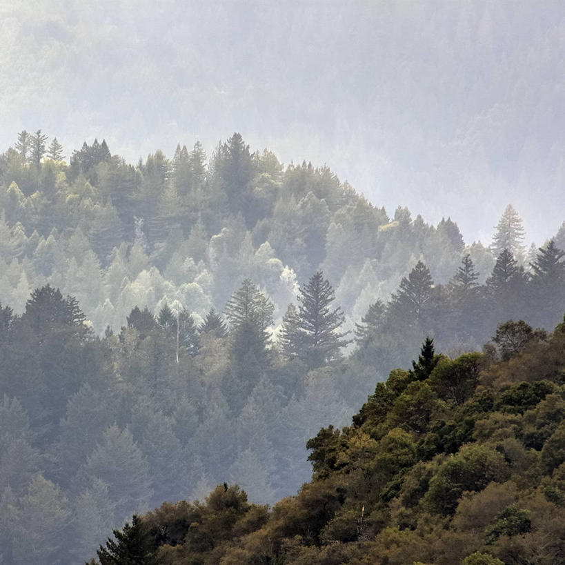 无人,方图,室外,白天,旅游,度假,美景,山,雾,美国,景观,娱乐,树,风景,自然,享受,休闲,景色,放松,摄影,宁静,环境,自然风光,旧金山,旅行